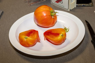 Tomate "Orange Russian" (Foto: B. Budig)