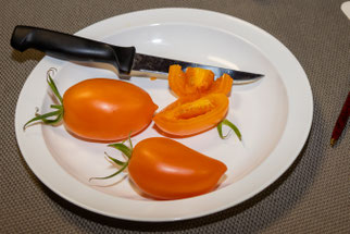 Tomate "Fonarik" (Foto: B. Budig)