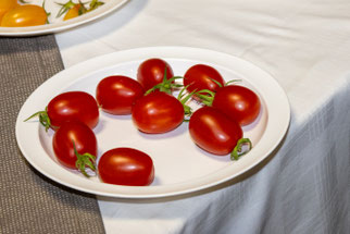 Tomate "Wintertomate" (Foto: B. Budig)