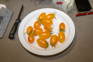 Tomate "Artisan Blush Tiger" (Foto: B. Budig)