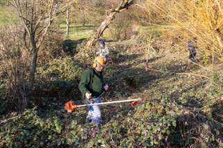 (Foto: B. Budig)