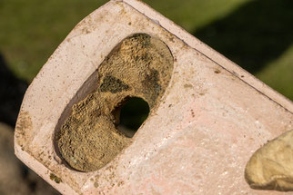 Verkleinertes Einflugloch (Foto: H. Budig)