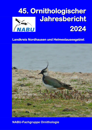 Titelbild: Kiebitz am Stausee Kelbra Foto D.Bird