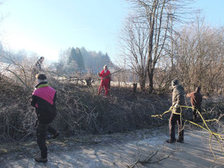  Öffnung Heckenfenster - Foto: Albert Brodbeck/NABU Metzingen