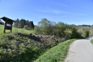 Hecke Nefenlohweg - Foto: D.Eberhardt/NABU Metzingen