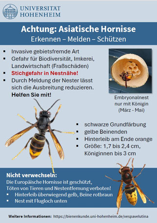 Quelle: Landesanstalt für Bienenkunde - Universität Hohenheim