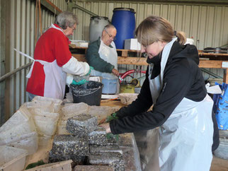 Produktion Vogel-Fettfutter - Foto: Albert Brodbeck/NABU Metzingen