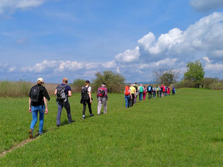 Naturkundliche Führung - Foto: Albert Brodbeck/NABU Metzingen