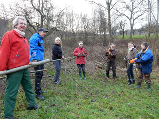 Spaß beim Pflegeeinsatz - Foto: Albert Brodbeck/NABU Metzingen