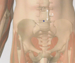 Situé sur le ligne médiane de l'abdomen, à 1,5 cun au-dessous du centre de l'ombilic.