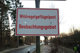 Foto: (NABU/I. Barthel)