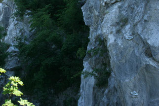 (Foto: © NABU/E. Neuling)
