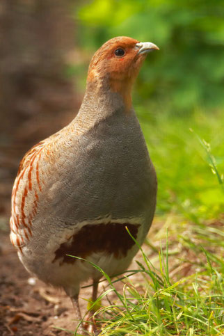 Foto: Wilfried Keller