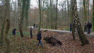 Wolfschlucht. Foto: Sandra Bischoff