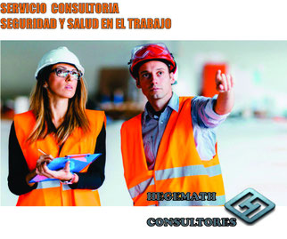 Servicio de Consultoria en Seguridad y Salud en el Trabajo