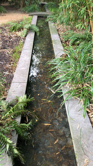 Wassergraben im Bambusgarten
