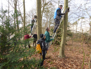 NABU-Mitglieder bei der Nistkastenreinigung. (Foto: Achim Borck)