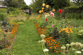 NABUnter Garten