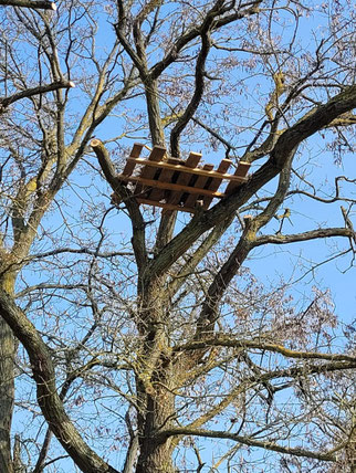 künstliches Storchennest