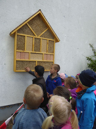Kinder betrachten Insektenhotel