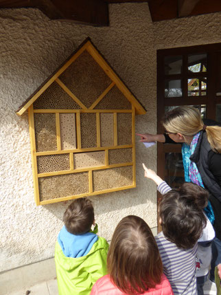 Kinder betrachten Insektenhotel
