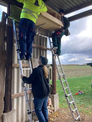 Ein neuer Eulenkasten in Nähe Dornheim