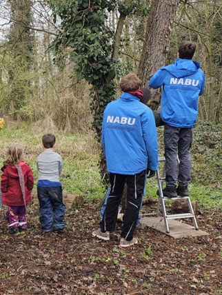 NABU hängt Nistkästen auf