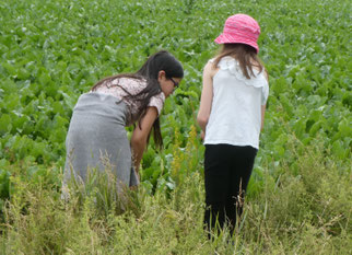 NAJU schaut nach Insekten