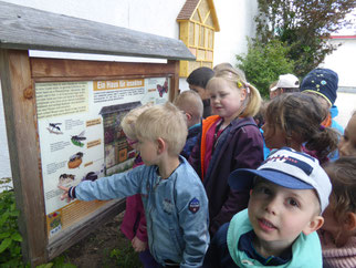 Kinder betrachten Infotafel