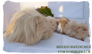 Chila und ihre 4 Kids