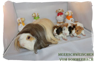Hope mit ihren 3 Jungs