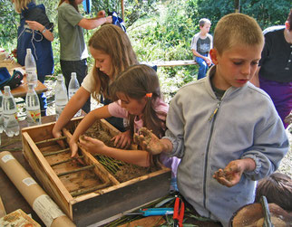 Forschungswerkstatt Wildbienen, Foto: NABU Wiesloch