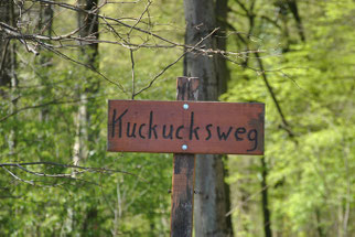Dämmelwald, Kuckucksweg, Foto: Elke Reiser