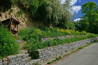 Schatthausen, Wildbienengarten, Foto: Chr. Aly