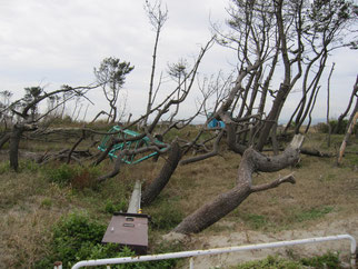 沿岸地域③
