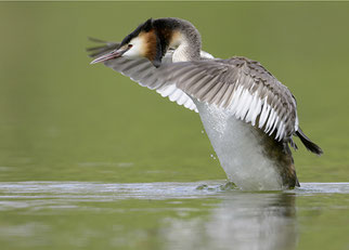 Foto: Christoph Bosch