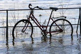 Klimawandel Überschwemmung Hochwasser Starkregen Dürre Stadtgrün Verkehrswende Radverkehr ÖPNV NABU Düren