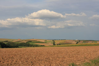 Foto: C. Moning