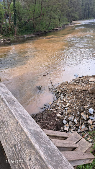 Wasseramsel Gut Kallerbend Holzbrücke Zerkall Mühlkoppe Bachneunauge Äsche Naturschutzgebiet BNatSchG UNB Bezirksregierung Köln Untere Naturschutzbehörde Kreis Düren NABU Düren