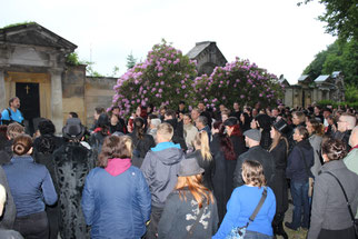 Abendliche NABU-Exkursion über den Südfriedhof. Foto: Ina Ebert