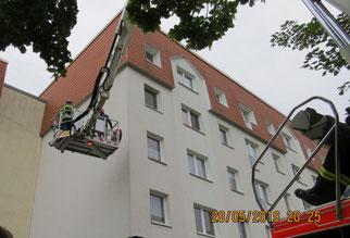 Einsatz von NABU und Feuerwehr zur Öffnung der verschlossenen Nisthöhlen und Rettung der eingeschlossenen Tiere.