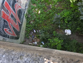 Müllhotspot an der Zeppelinbrücke. Fotos: Beatrice Jeschke
