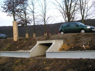 Krötentunnel. Foto: Ralf Schulte