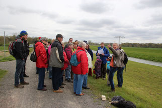 Bei einem Zwischenstopp auf dem Deich der Neuen Luppe wurden die Unterschiede von Hart- und Weichholzaue und die ökologischen Zusammenhänge in der Leipziger Auenlandschaft vorgestellt.