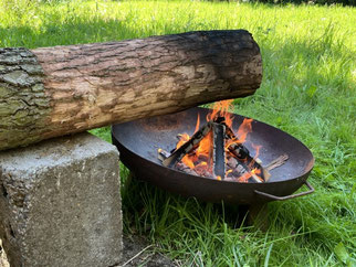 Ankohlen eines Eichenstamms