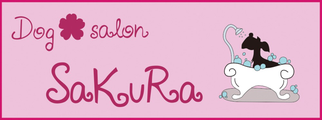 名古屋市天白区・昭和区 トリミングは【Dog salon SaKuRa】