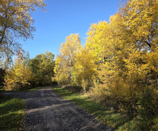 Herbststimmung eingefangen von Peter Berthold / NABU Euskirchen