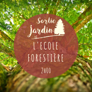 Jardin Botanique de Tours ; foret ; bois ; arbre ; visite jardin ; Tours ; Touraine