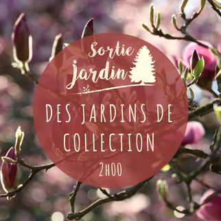 Jardin Botanique de Tours