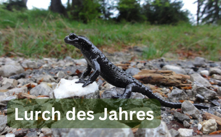Foto Christoph Moning - Lurch des Jahres 2026